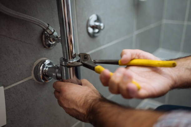 Best Plumbing Inspection Services  in Eaton Rapids, MI